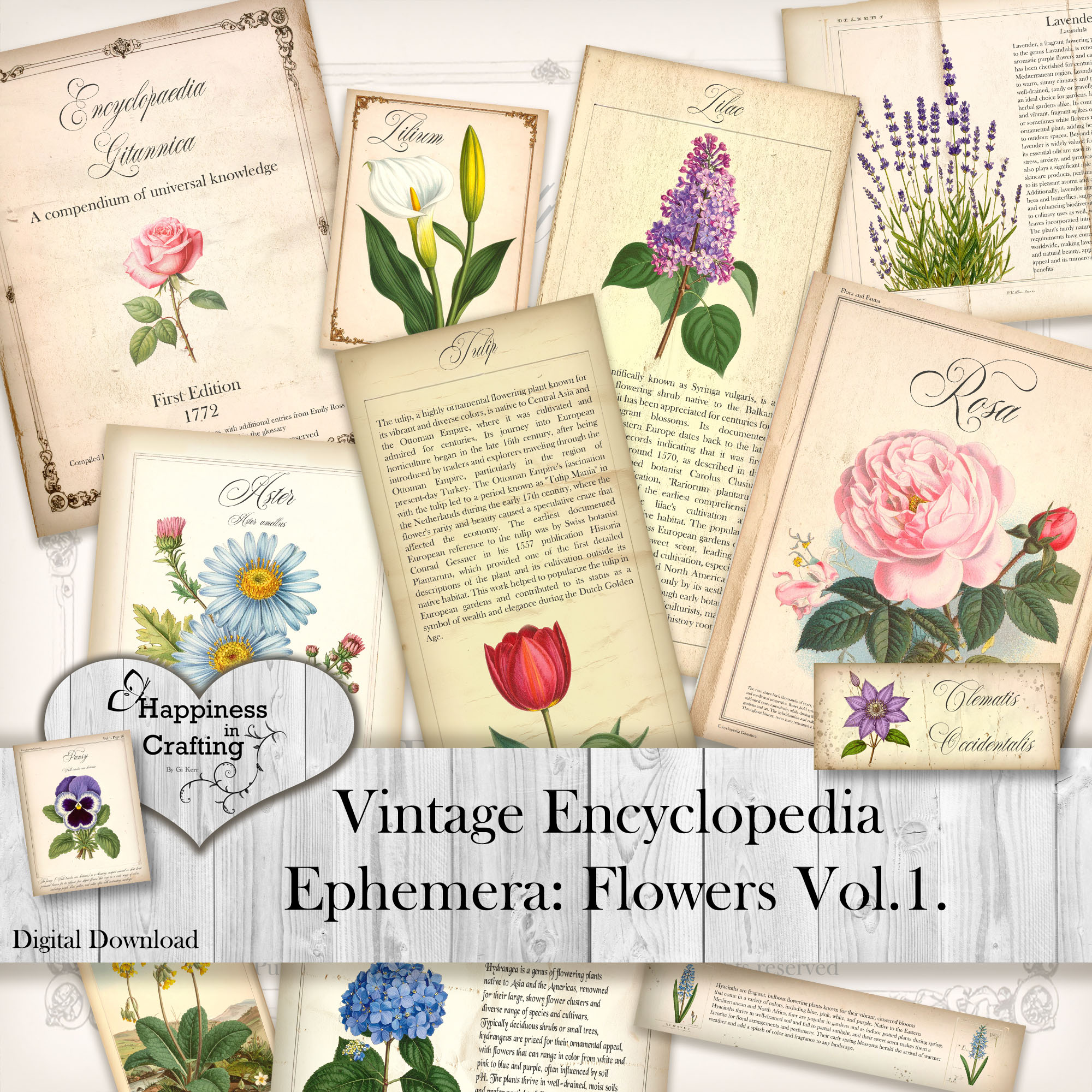 Vintage Encyclopaedia Ephemera Vol.1 - Thumbnail 0 copy